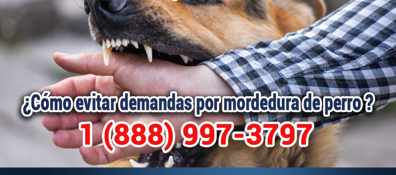 ¿Cómo Evitar Demandas Por Mordedura De Perro En Los Angeles?