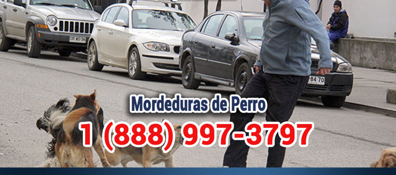 🥇Abogado de Mordeduras de Perro en Los Ángeles